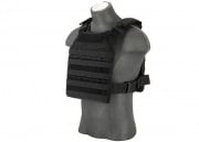 Flyye Industries 1000D Cordura MOLLE PC Plate Carrier (Option/M)