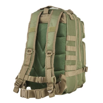 VISM Small Backpack ( Green / Tan )