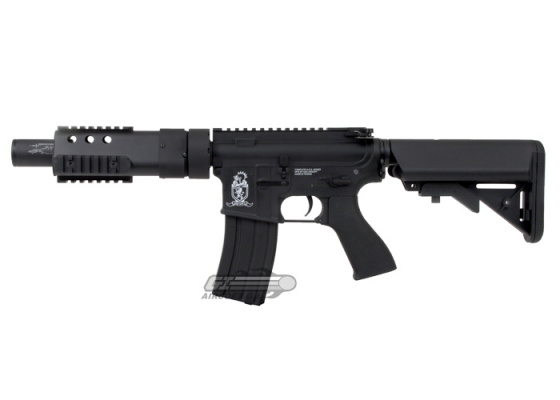 Airsoft GI Custom PSW AEG Airsoft Rifle