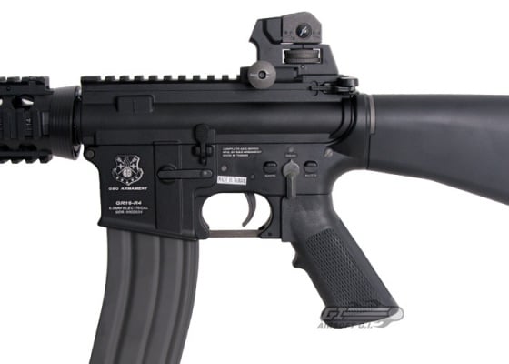 G&G TR16 R4 AEG Airsoft Rifle ( Black )