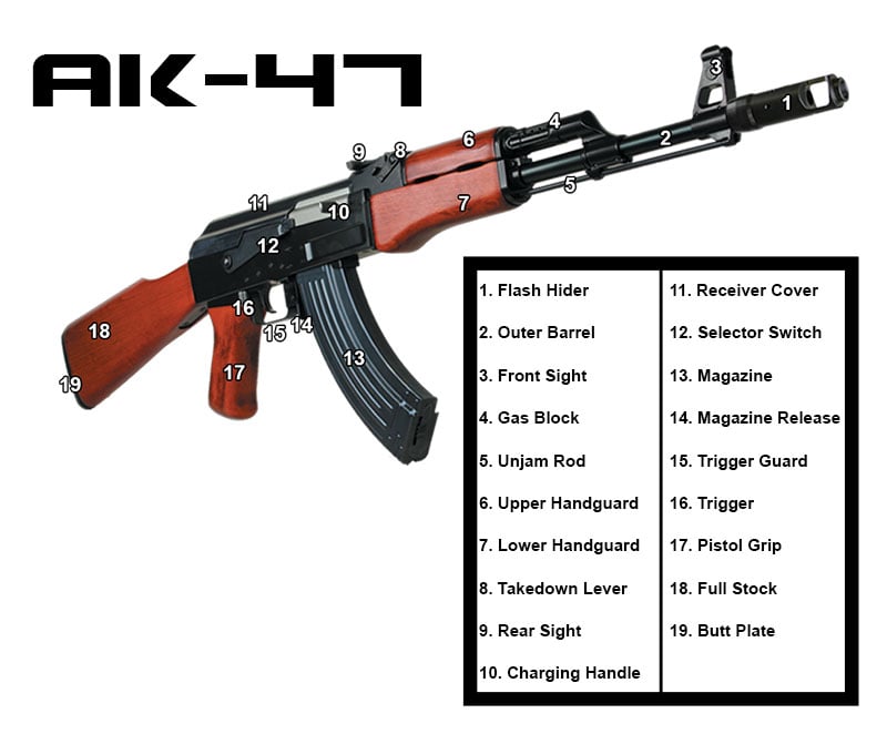 AK Anatomy