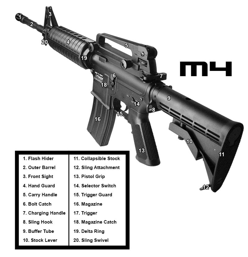 M4 Anatomy