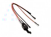Echo 1 PDW Wiring Harness