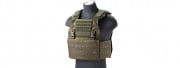 Lancer Tactical Vest with Molle Webbing and Detachable Buckles (OD Green)