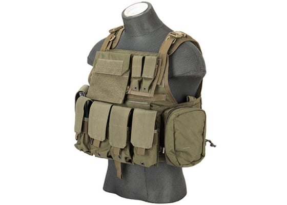Flyye Industries 1000D Cordura MOLLE Plate Carrier w/ Pouches ( Option / M )